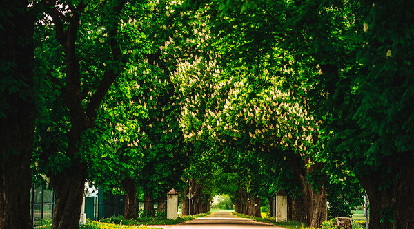 slajd pliki/slajd-glowny/baner2.jpg