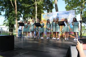 Zakup podestu scenicznego i mikrofonów na potrzeby prowadzenia działalności kulturalno-oświatowej i rozrywkowej OSP w Czyżewie