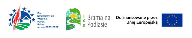 Noc Świętojańska w Ciechanowcu -21.06.2025
